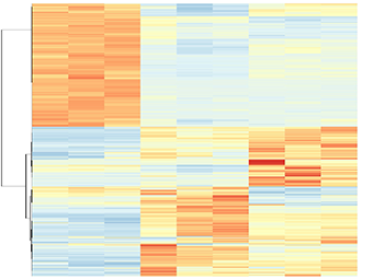 Genomeimg